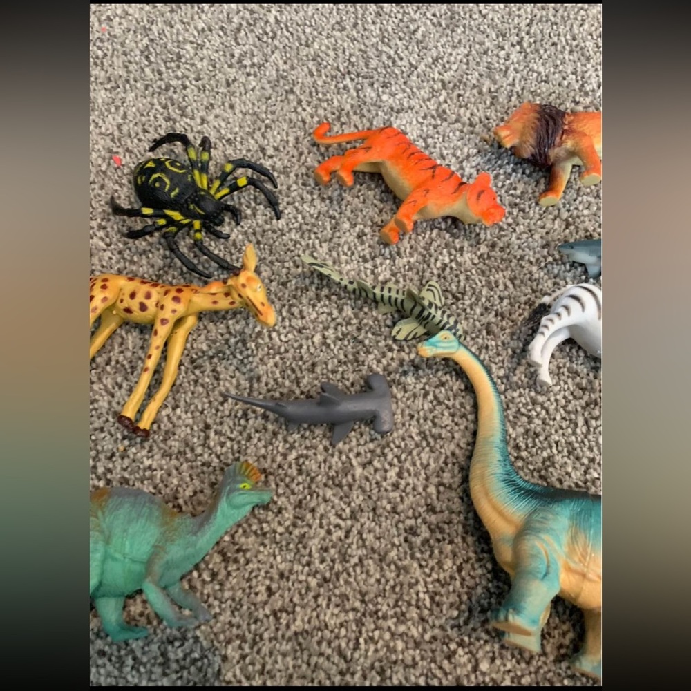 Animal Lot - Picture 3 of 4